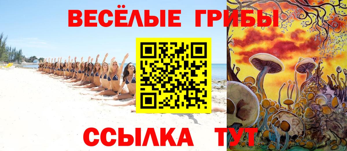 Мариинск  Псилоцибиновые грибы мицелий  Галлюциногенные грибы MAGIC MUSHROOMS  Вход с VPN 